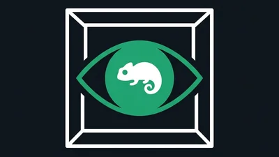 Chameleon Vision Quiz